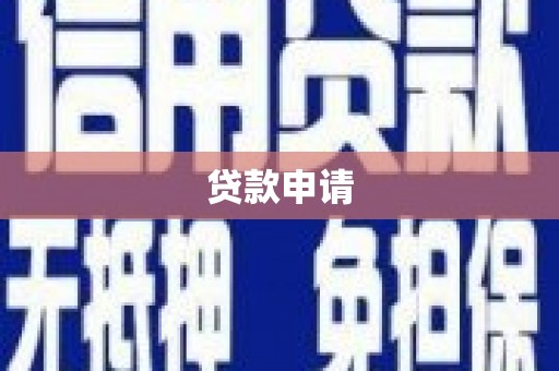 光泽贷款申请