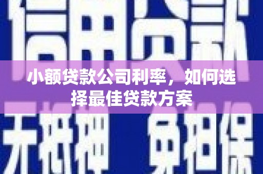 光泽小额贷款公司利率，如何选择最佳贷款方案