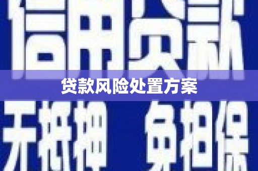 光泽贷款风险处置方案