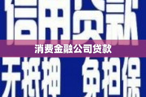 光泽消费金融公司贷款
