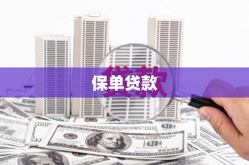 光泽保单贷款
