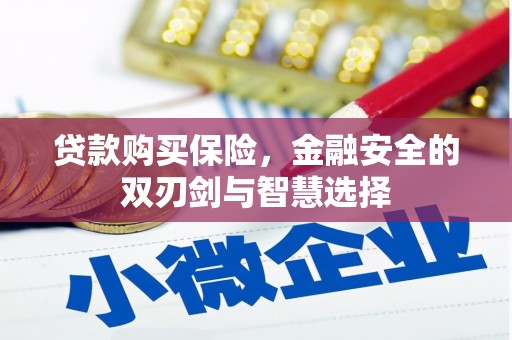 光泽贷款购买保险，金融安全的双刃剑与智慧选择