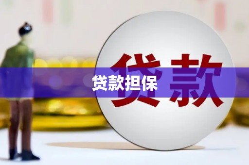 光泽贷款担保