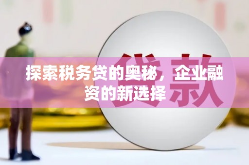 光泽探索税务贷的奥秘，企业融资的新选择