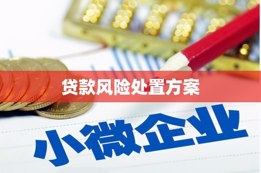 光泽贷款风险处置方案