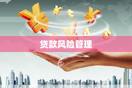光泽贷款风险管理