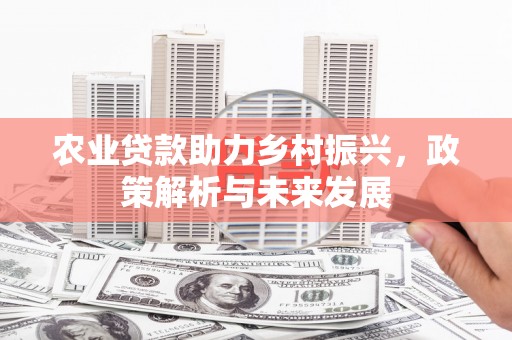 光泽农业贷款助力乡村振兴，政策解析与未来发展