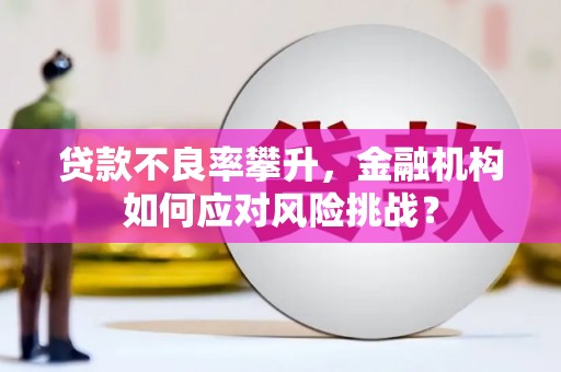 光泽贷款不良率攀升，金融机构如何应对风险挑战？