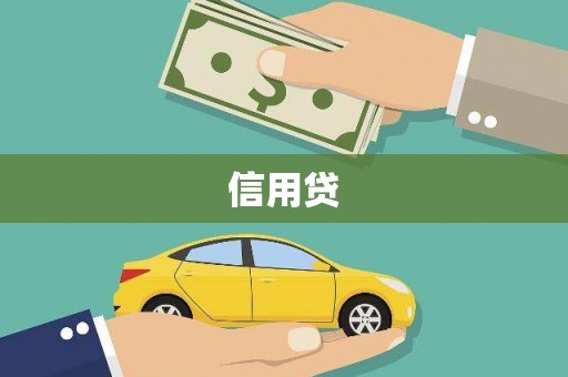 光泽信用贷