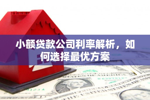 光泽小额贷款公司利率解析，如何选择最优方案