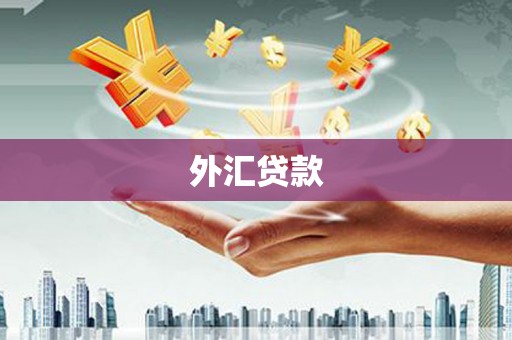 光泽外汇贷款