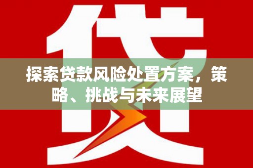 光泽探索贷款风险处置方案，策略、挑战与未来展望