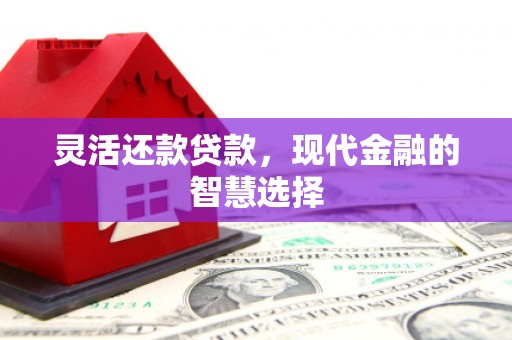 光泽灵活还款贷款，现代金融的智慧选择