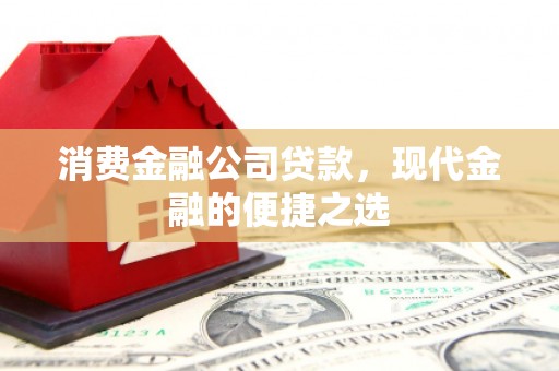 光泽消费金融公司贷款，现代金融的便捷之选