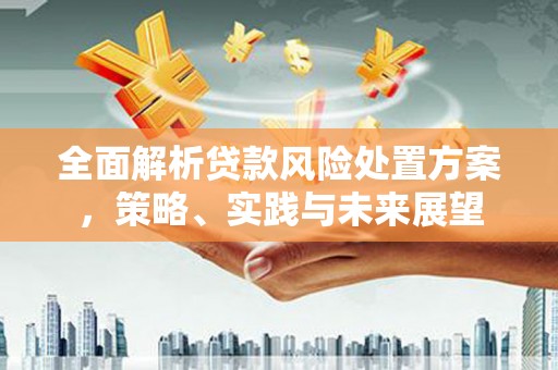 光泽全面解析贷款风险处置方案，策略、实践与未来展望
