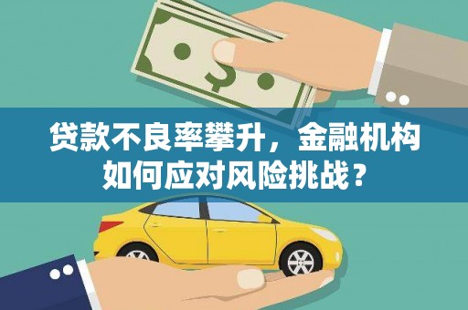 光泽贷款不良率攀升，金融机构如何应对风险挑战？