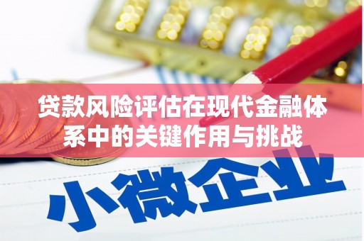 光泽贷款风险评估在现代金融体系中的关键作用与挑战
