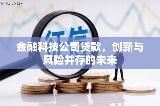 光泽金融科技公司贷款，创新与风险并存的未来