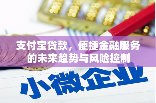 光泽支付宝贷款，便捷金融服务的未来趋势与风险控制