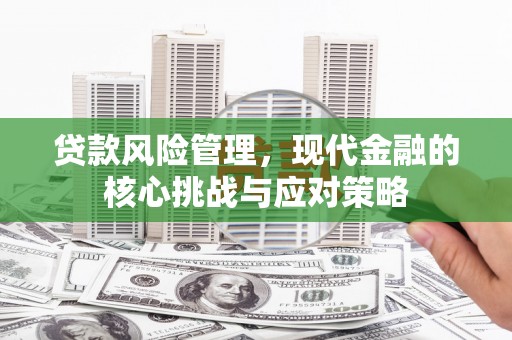 光泽贷款风险管理，现代金融的核心挑战与应对策略