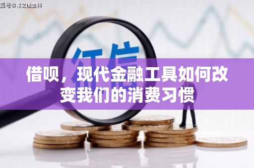 光泽借呗，现代金融工具如何改变我们的消费习惯
