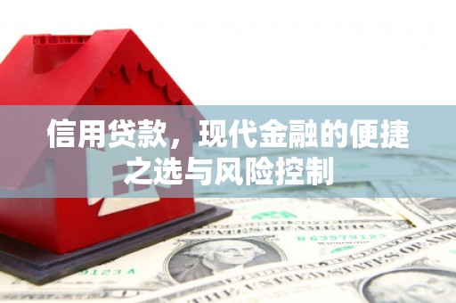 光泽信用贷款，现代金融的便捷之选与风险控制