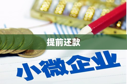 光泽提前还款