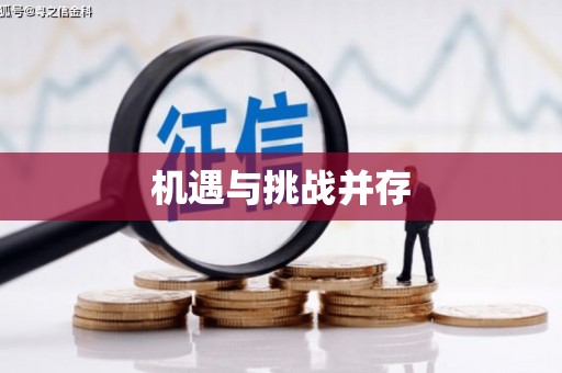 光泽机遇与挑战并存