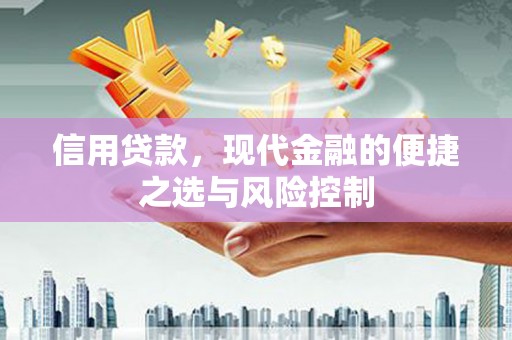 光泽信用贷款，现代金融的便捷之选与风险控制