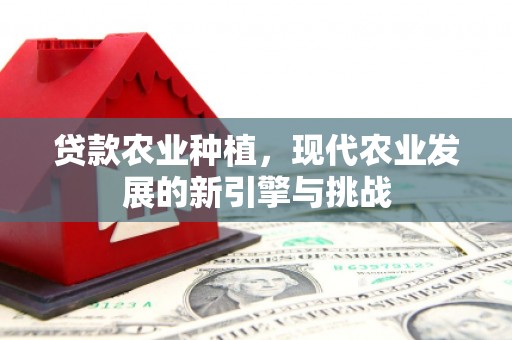 光泽贷款农业种植，现代农业发展的新引擎与挑战