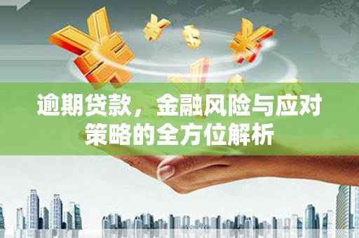 光泽逾期贷款，金融风险与应对策略的全方位解析