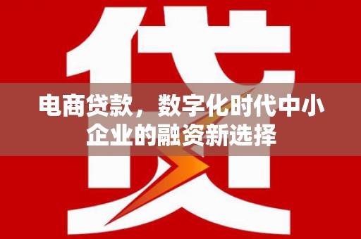 光泽电商贷款，数字化时代中小企业的融资新选择