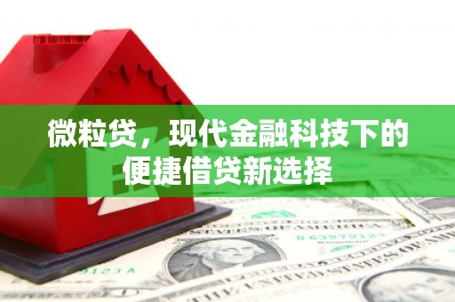 光泽微粒贷，现代金融科技下的便捷借贷新选择