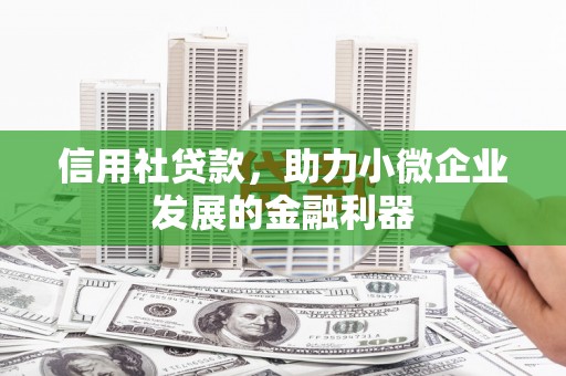 光泽信用社贷款，助力小微企业发展的金融利器