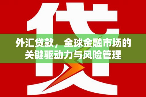 光泽外汇贷款，全球金融市场的关键驱动力与风险管理