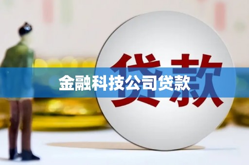 光泽金融科技公司贷款