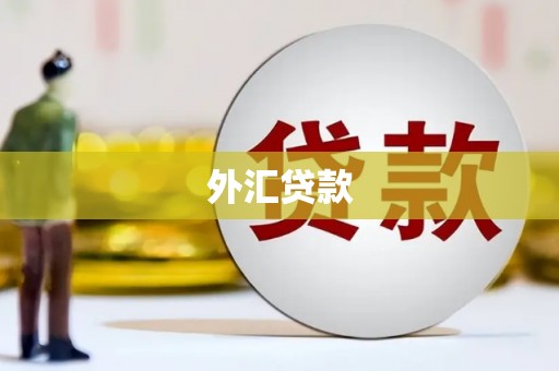 光泽外汇贷款
