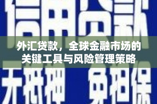 光泽外汇贷款，全球金融市场的关键工具与风险管理策略