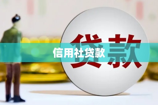 光泽信用社贷款