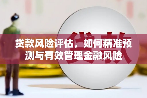 光泽贷款风险评估，如何精准预测与有效管理金融风险