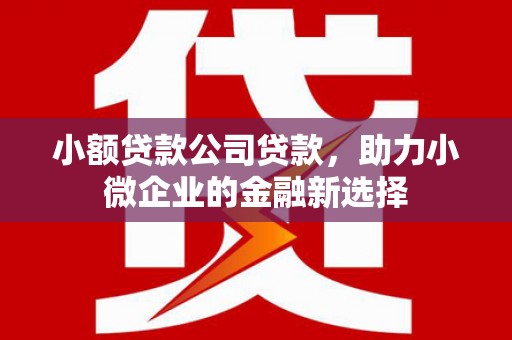 光泽小额贷款公司贷款，助力小微企业的金融新选择