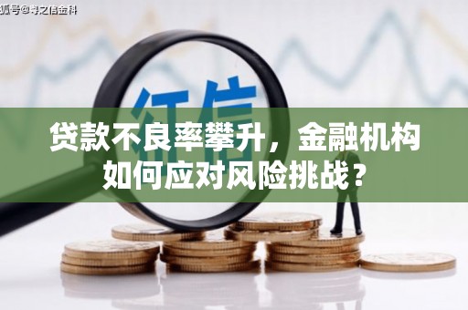 光泽贷款不良率攀升，金融机构如何应对风险挑战？