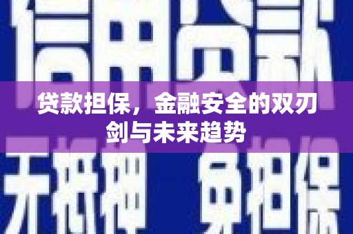 光泽贷款担保，金融安全的双刃剑与未来趋势