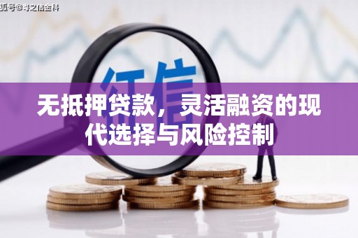 光泽无抵押贷款，灵活融资的现代选择与风险控制