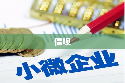 光泽借呗