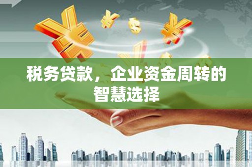 光泽税务贷款，企业资金周转的智慧选择