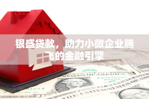 光泽银盛贷款，助力小微企业腾飞的金融引擎