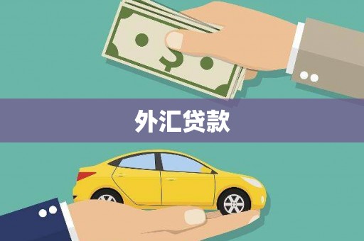 光泽外汇贷款