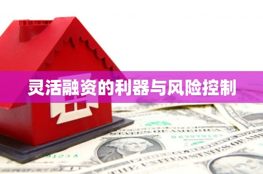 光泽灵活融资的利器与风险控制