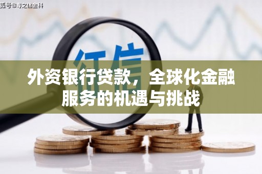 光泽外资银行贷款，全球化金融服务的机遇与挑战
